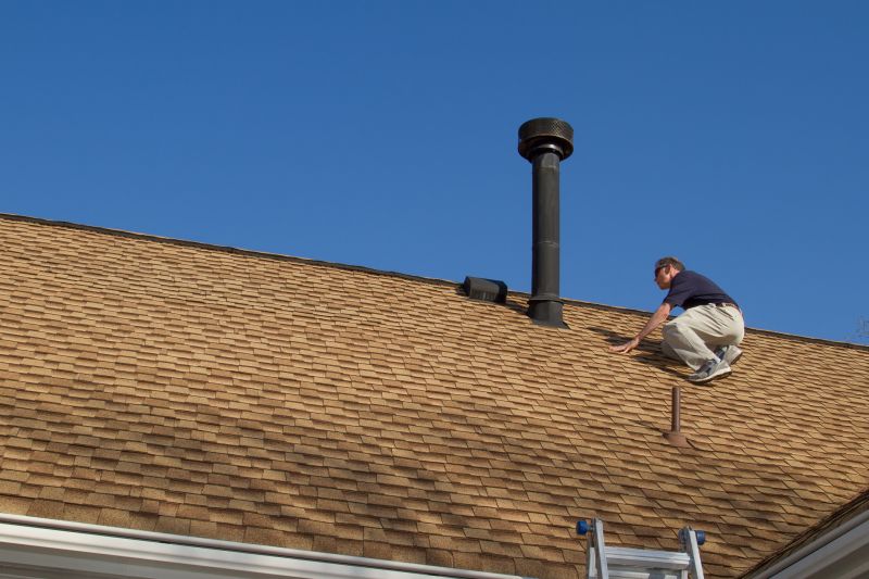 Roof Inspection Professional